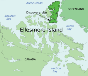 Ellesmere Island - Tiktaalik discovery site