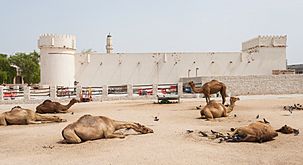 Fuerte Al Koot, Doha, Catar, 2013-08-06, DD 03