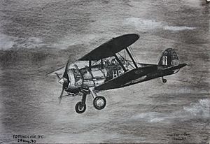 Gloster Gladiator of Bermudian Flying Officer Herman Francis Grant Ede DFC