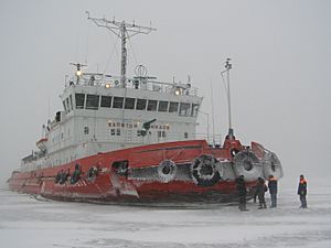 Ice-breaker Captan Demidov
