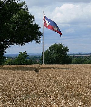 King Richard's Boar Banner - geograph.org.uk - 918516