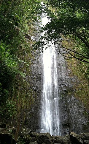 Manoa Falls, Hawaii, March 2012