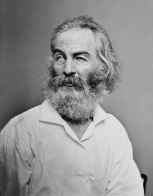 Walt Whitman - Brady-Handy restored