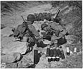 81 m-m Mortar crew in action at Camp Carson, Colorado - NARA - 197171
