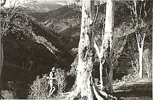 Australian commando in Timor 1942.jpg