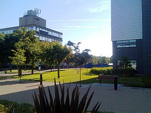 Brunel university01