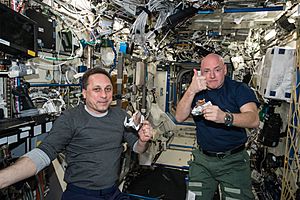 ISS-43 Anton Shkaplerov and Scott Kelly in Destiny lab