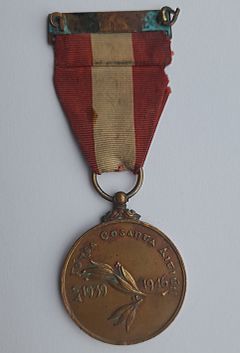Irish Emergency Service Medal Back