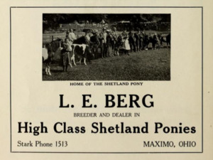 L E Berg - Breeder and dealer in high class Shetland ponies - Maximo Ohio 1915f