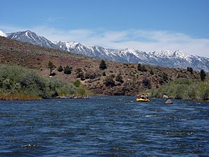 Rafting the East Fork of the Carson River.jpg