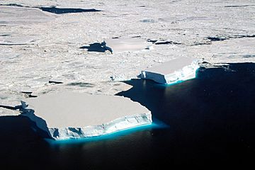 Small Tabular Icebergs (26376305448)
