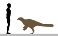 Beipiaosaurus size