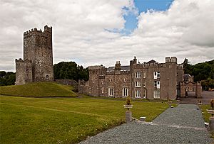 Castles of Munster, Drishane, Cork - geograph.org.uk - 1392794