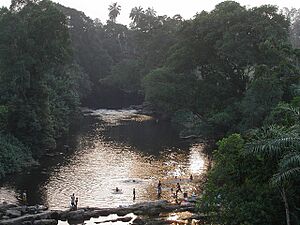 Cross River (Cameroon)