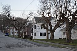 Houses on Hopkins Street
