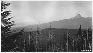Picture from Timber Crater, looks north showing heavy fir and hemlock timber on TImber Crater. Diamond Lake and Mount... - NARA - 298913