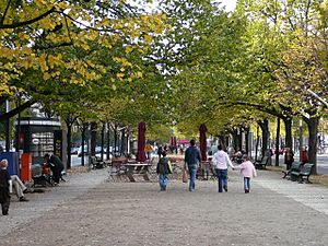 Unter den Linden im Herbst