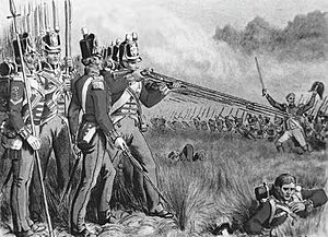 British napoleonic infantry