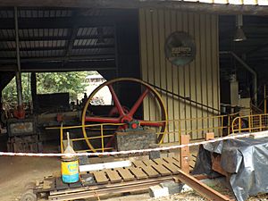 Grandchester Sawmill machine 2
