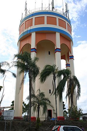 Innisfail Water Tower, 2010.jpg