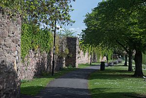 Leicester Abbey precinct east wall 2