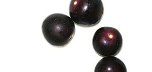 North Carolina muscadine grapes