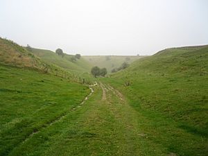 Path down from the Ridgeway to Bishopstone, Wiltshire