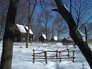 Pioneer Village Winter 2008