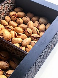 Pistachio nuts from Iran