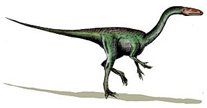 Segisaurus.jpg