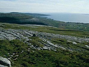 The Burren's western scarp, from Murrooghkilly - geograph.org.uk - 150827