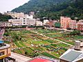 Vegetable Farming Park, Nangan, Matsu, Taiwan