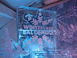 Winterlude-Bal de neige (387479407).jpg