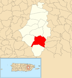 Location of Borinquen within the municipality of Caguas shown in red
