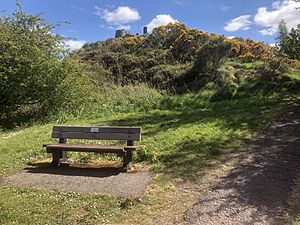 Craigs Top bench and path to summit