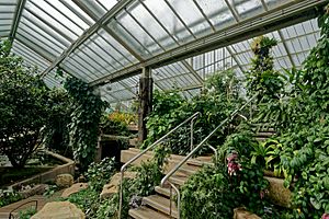 London - Kew Gardens - Princess of Wales Conservatory 1987- Ten Climatic Zones VIII