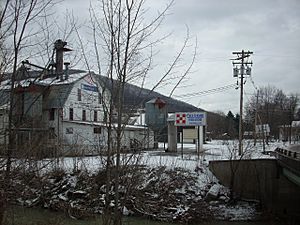 The former Purina Mill and feed store on the western edge of Knoxville, January 2008