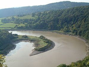 A view north of the River Wye, Lancaut, Chepstow - geograph.org.uk - 18005