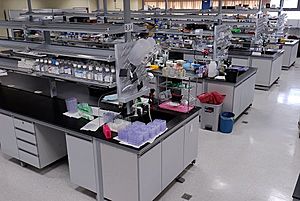CICB's Laboratory