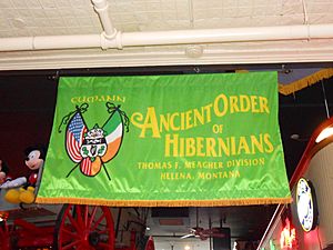 Hibernians Meagher Division Banner