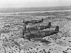 SpitfireVb 601Sqn Djerba1943