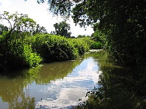 The Holy Brook to south of Calcot