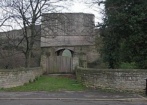 Tickhill Castle - geograph.org.uk - 297181 cropped