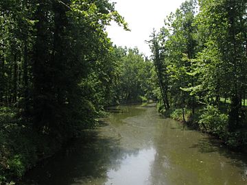 Tradewater River 4899