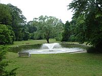 Wyncote Park