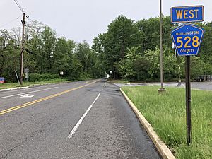 2018-05-19 15 45 42 View west along Burlington County Route 528 (Jacobstown-New Egypt Road) at Burlington County Route 537 (Monmouth Road) in North Hanover Township, Burlington County, New Jersey