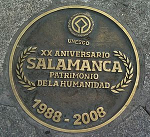 Center of the plaza mayor salamanca