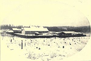 First camp at Fairbanks 1903