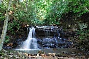 Holly River State Park - Upper Falls