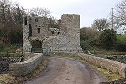 Mahee castle, Strangford Lough - geograph.org.uk - 319096
